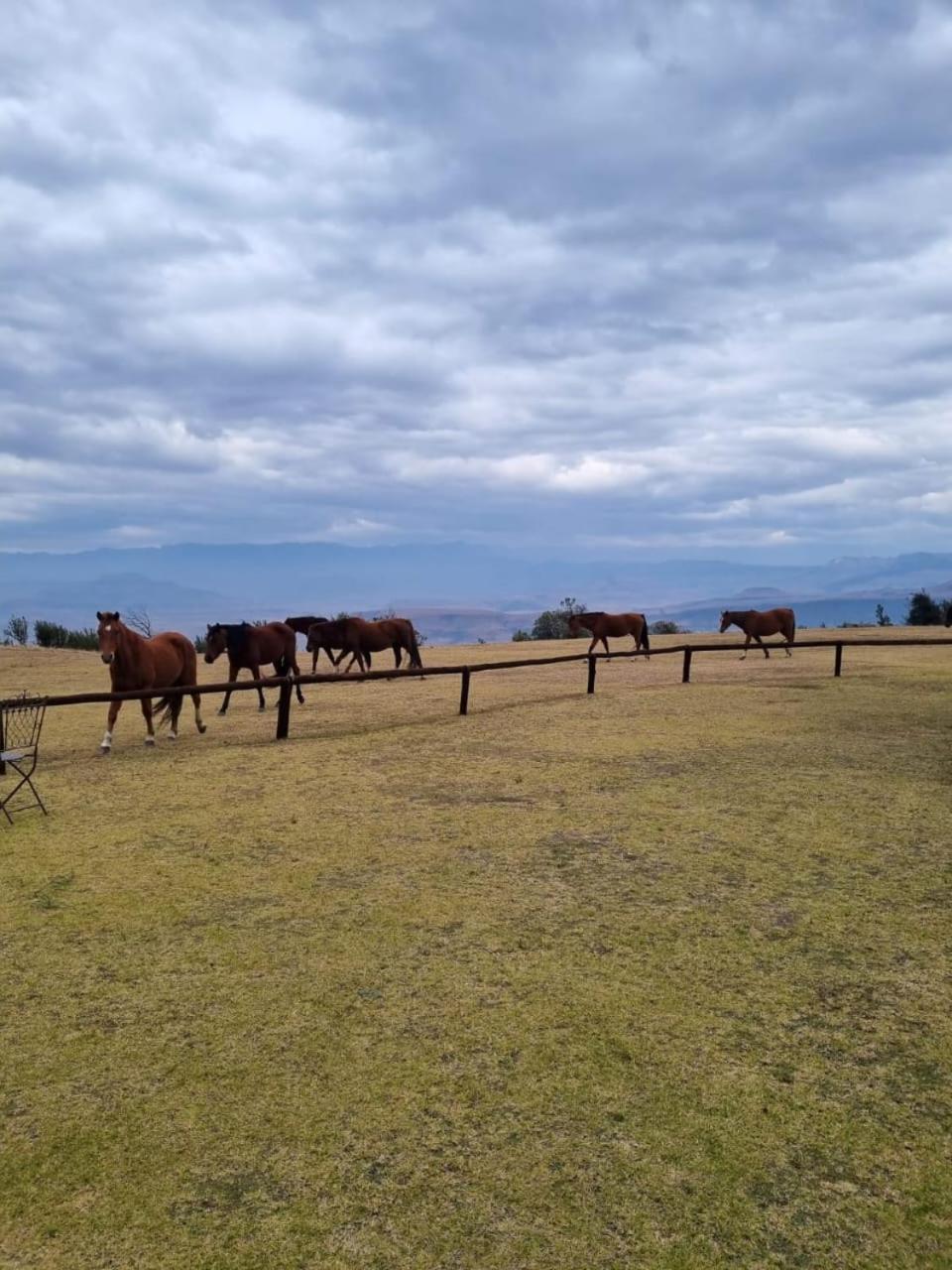 Drakensberg Mountain Retreat Guest House Бергвил Екстериор снимка