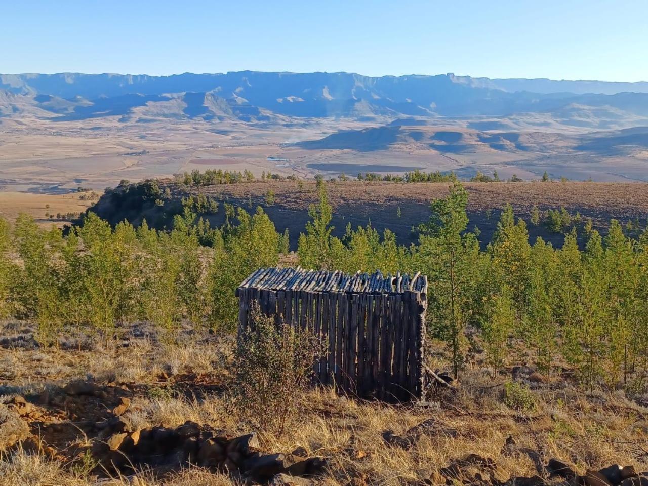 Drakensberg Mountain Retreat Guest House Бергвил Екстериор снимка